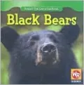 Black Bears