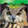 Owls