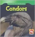 Condors