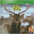 Elk