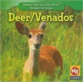 Deer/Venados