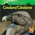 Condors/C
