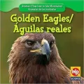 Golden Eagle /Águila Real
