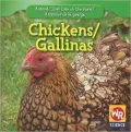 Chickens/Las gallinas