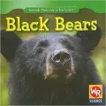 Black Bears
