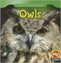 Owls