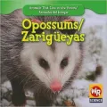 Opossums/Zarig