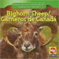 Bighorn Sheep/Carnero de Canadt