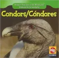 Condors/C