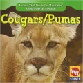 Cougars/Puma