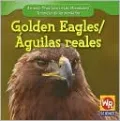 Golden Eagle /Águila Real