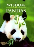 Wisdom of Pandas