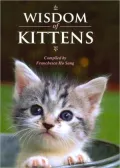 Wisdom of Kittens