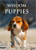 Wisdom of Puppies