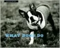 What Dogs Do