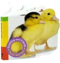 Duckling and Friends