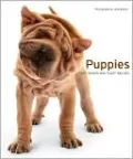 Puppies: Wet Noses and Fuzzy Bellies