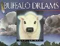 Buffalo Dreams