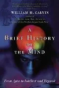 A Brief History of the Mind: From Apes to Intellect and Beyond