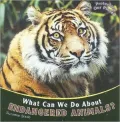 What Can We Do About Endangered Animals?
