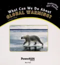 What Can We Do About Global Warming?