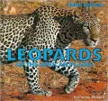 Leopards of the African Plains