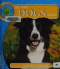 See How Dogs Grow