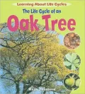 The Life Cycle of an Oak Tree