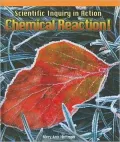 Scientific Inquiry in Action: Chemical Reaction!