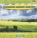 Examining Meadow Habitats (Paperback)