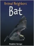 Bat