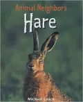 Hare