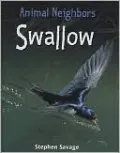 Swallow