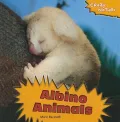 Albino Animals