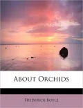 About Orchids: A Chat