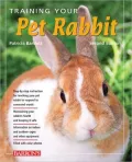Training Your Pet Rabbit