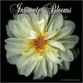 2011 Datemaker Wall - Intimate Blooms - Robert Creamer