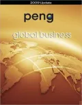 Global Business 2009 Update