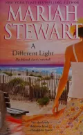 Book cover of A Different Light