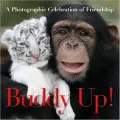Buddy Up!