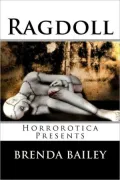 Ragdoll