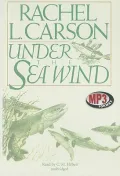 Under the Sea Wind