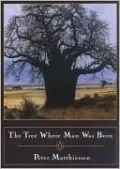 The Tree Where Man Was Born