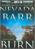 Burn (Anna Pigeon Series #16)