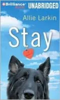 Stay