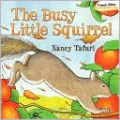The Busy Little Squirrel