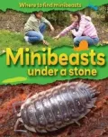 Minibeasts Under a Stone