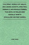 The Spirit World of Wales - Including Ghosts, Spectral Animals, Household Fairies, the Devil in Wales and Angelic Spirits (Folklore History Series)