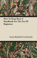 How to Keep Bees