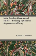 Mule Breeding Canaries and Finches - Breeding Hybrids for Appearance and Song